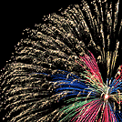 spangle chrysanthemum